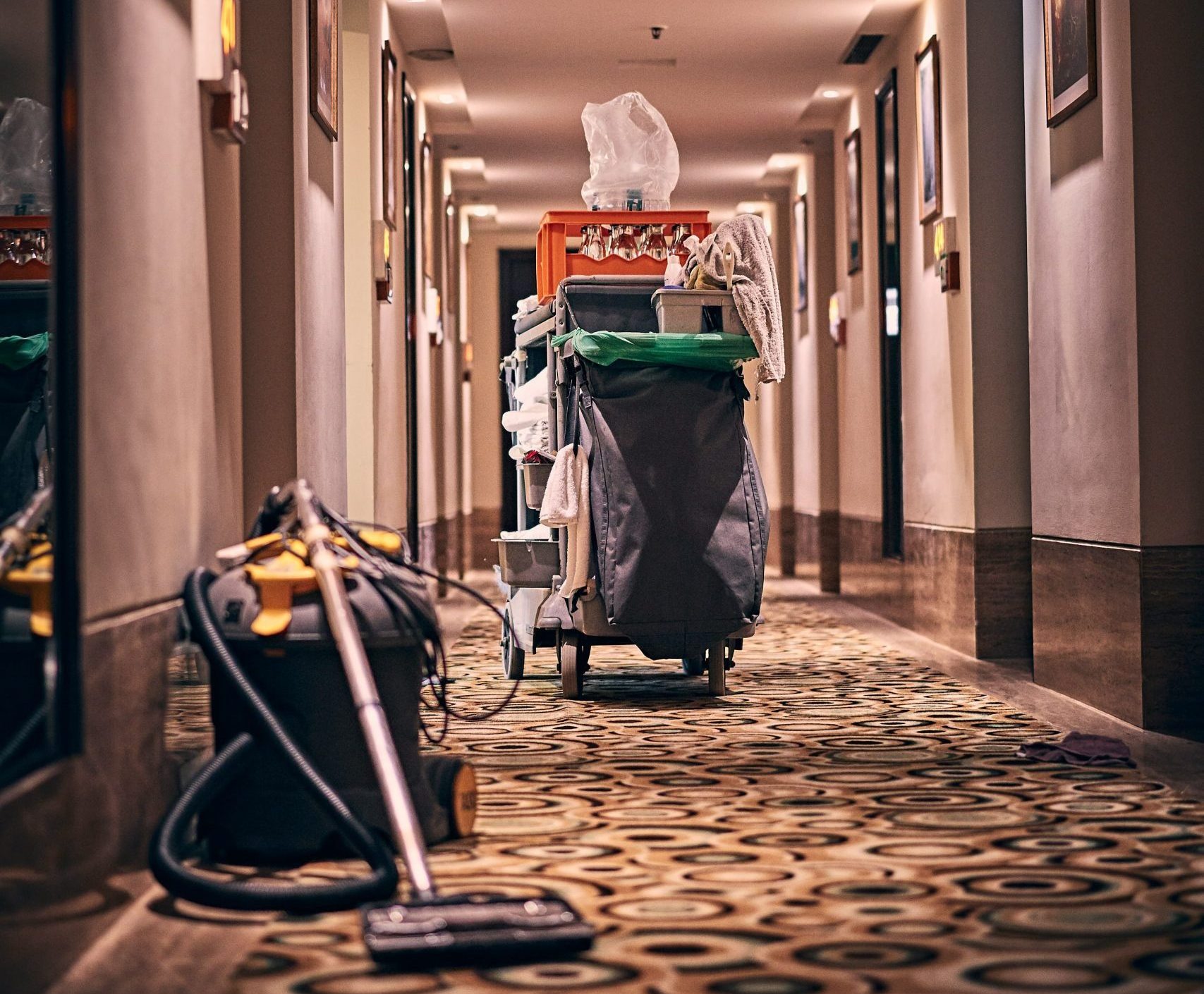 best carpet cleaning melbourne