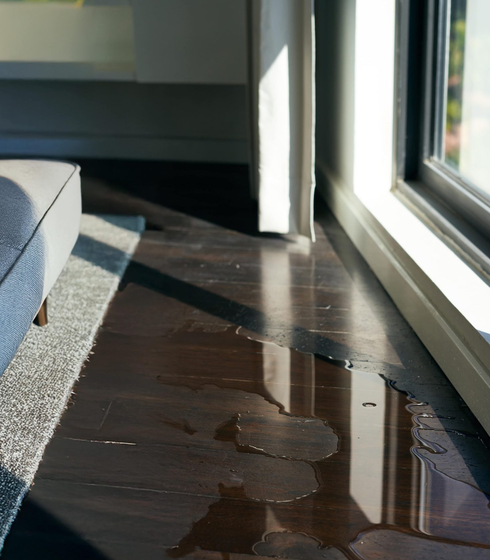 water damage carpet cleaning in melbourne